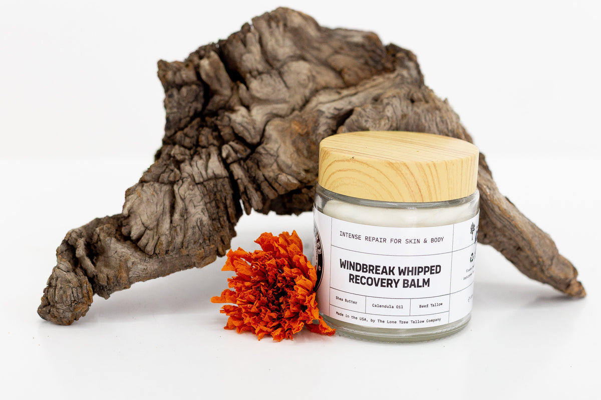 Windbreak Whipped Tallow Recovery Balm for windburned skin