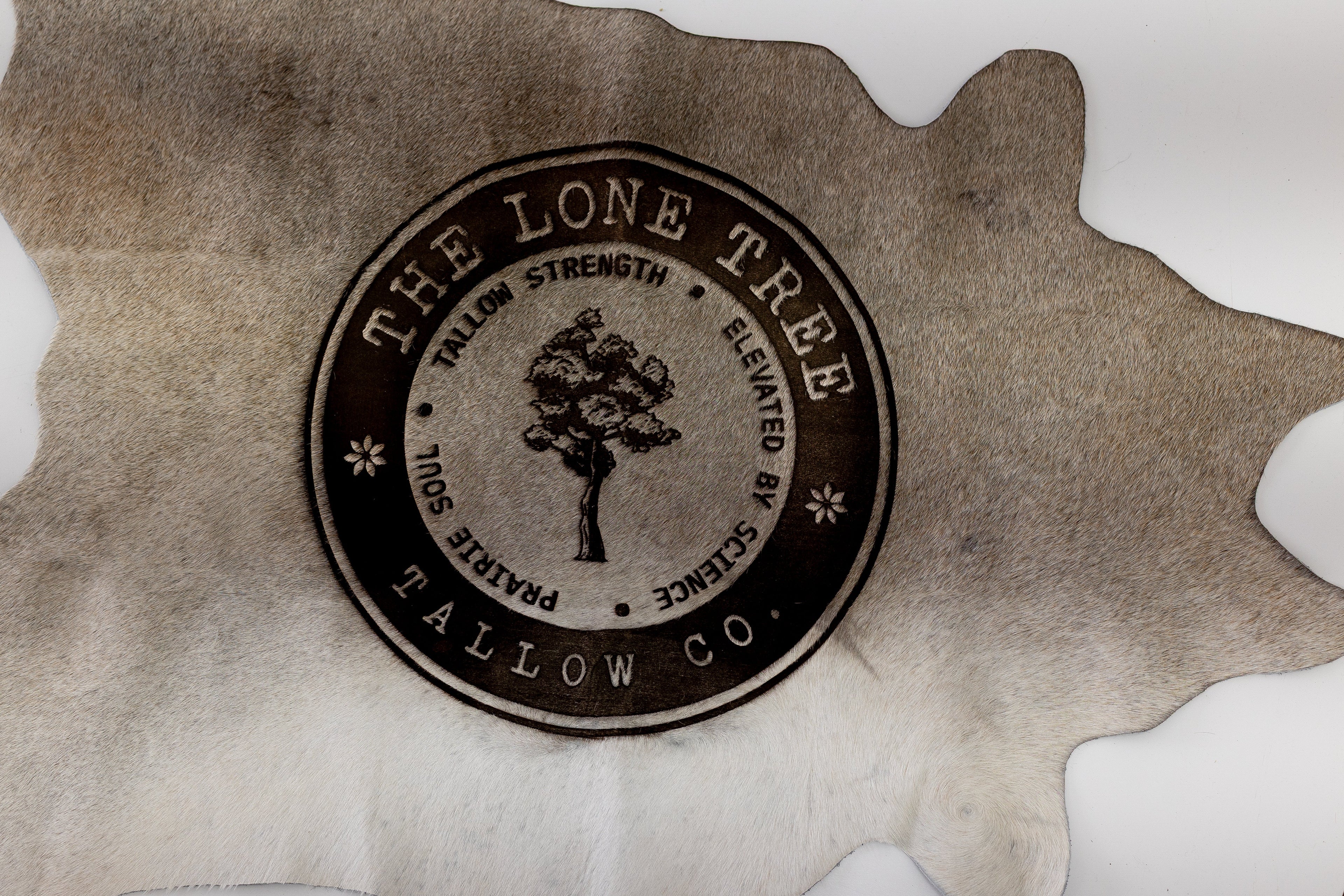 Tallow + Barrier Repair