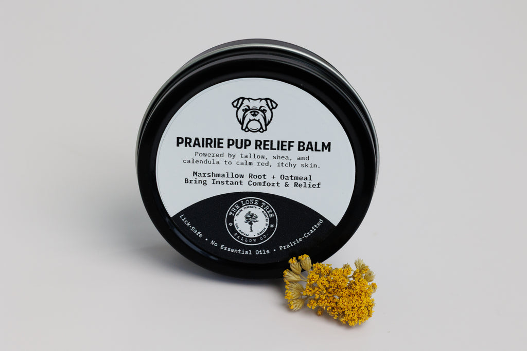 Prairie Pup Relief Balm in a 2oz black tin with bulldog illustration and dried yarrow flowers all natural tallow, marshmallow root, and colloidal oatmeal dog balm for hot spots and skin issues and inflammation. Lickable and effective. No essential oils. 