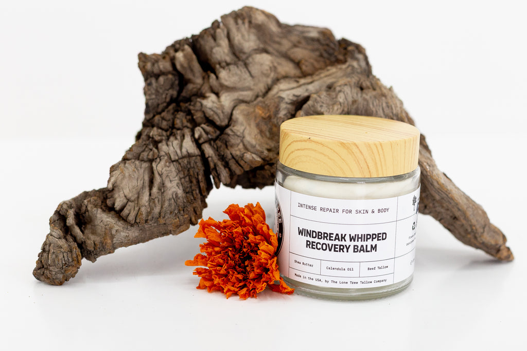Windbreak Whipped Tallow Recovery Balm