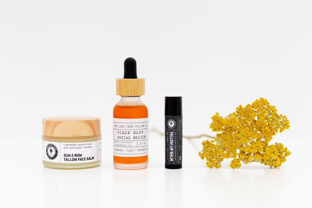 The Lone Tree Tallow field glow luxury facial oil elixir with astaxanthin, sea buckthorn and CoQ10 sitting next to the Sun & Row Antioxidant Tallow Face Balm and a tube of the Wild Yarrow Infused Sunflower Oil Tallow Lip Balm. 