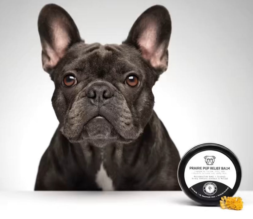 Prairie Pup Relief Balm | Natural Dog Hot Spot Treatment